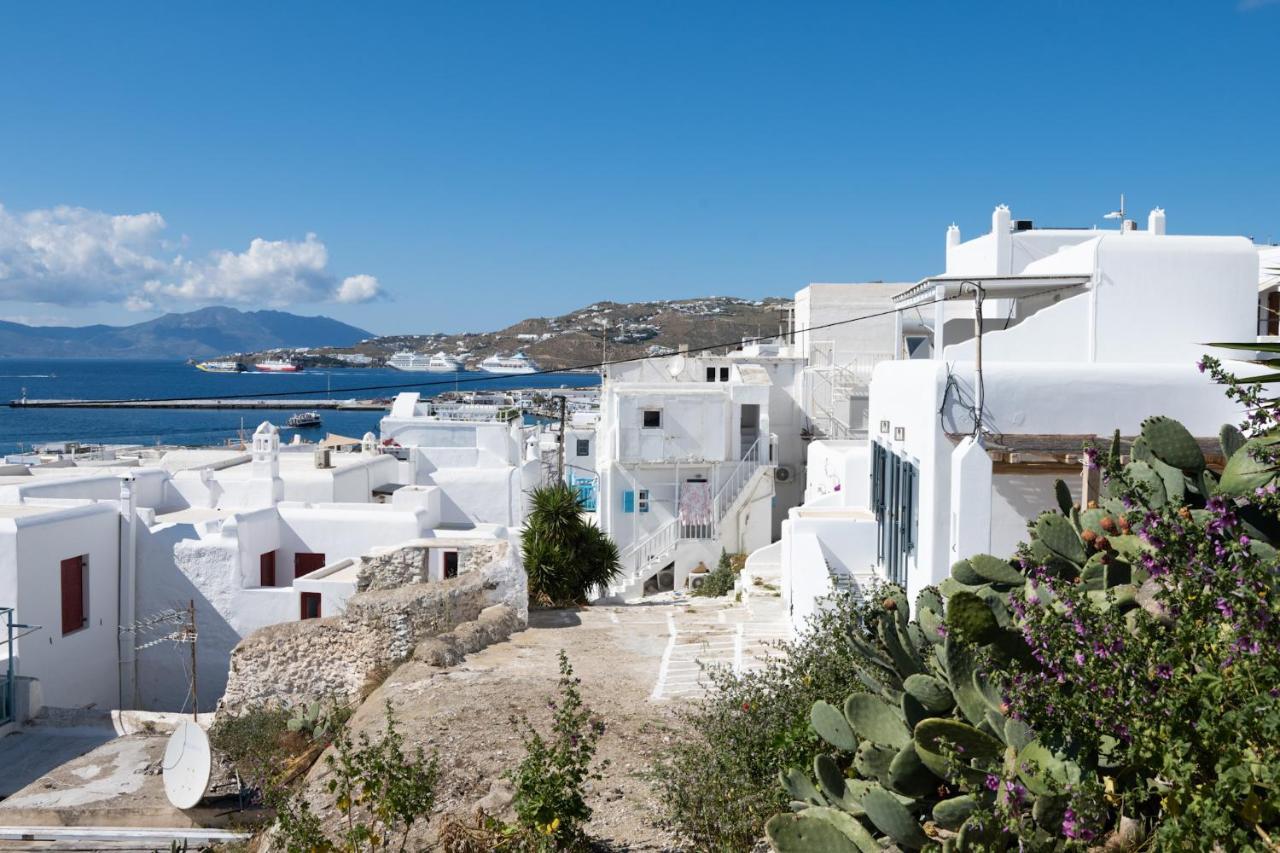 Mykonos House Serene Villa Mykonos Town Exterior photo